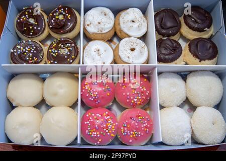 A delicious box selection of colourful doughnuts, including pink and chocolate ones with sprinkles Stock Photo