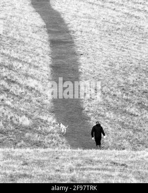 A monochrome image of a man and his dog walking through a meadow in Kent, England. Stock Photo