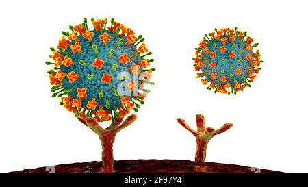 Nipah viruses binding to human cells, illustration Stock Photo