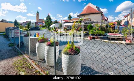 St.Otto, Otto Church, nursery, tree nursery, floral decorations, decorative, gardeners town, Bamberg, Franconia, Bavaria, Germany, Europe Stock Photo