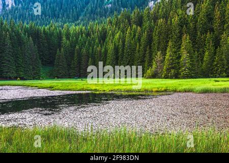 Smolyan Lake - Green pines around a lake Stock Photo