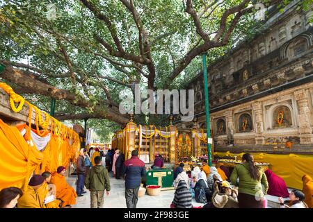 India, Bodhgaya, scenes at the Mahabodhi temple, believers, visitors Stock Photo