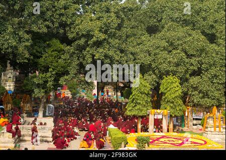 India, Bodhgaya, scenes at the Mahabodhi temple, monks, Stock Photo