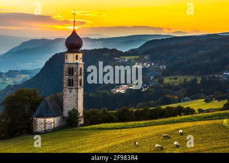 Black head sheep graze by a church in Alps Stock Photo