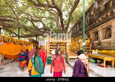 India, Bodhgaya, scenes at the Mahabodhi temple, believers, women, Stock Photo