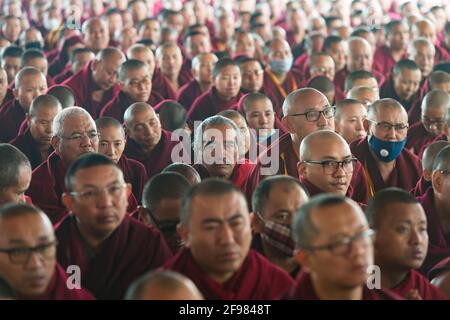 India, Bodhgaya, scenes at the Mahabodhi temple, crowd, monks, Stock Photo