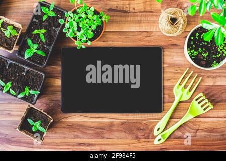 On a wooden table is a writing pad, mock up, surrounded by plants and small sprouts. Stock Photo