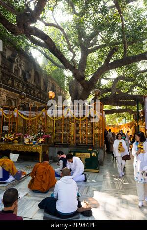 India, Bodhgaya, scenes at Mahabodhi Temple, believers, prayer Stock Photo