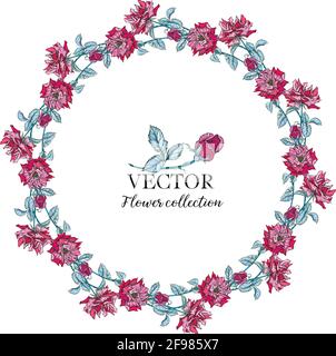 Rose flowers watercolor round frame with green branches Vector ...