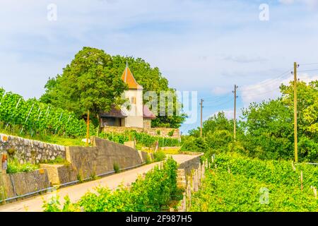 A chapel near Tüscherz situated behind vineyards of Bielersee, Switzerland Stock Photo