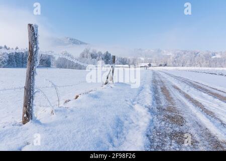 A magical winter morning in Schlehdorf am Kochelsee, Bavaria, with frost, sunshine, fog and freshly fallen snow. Fence with barbed wire, snow-covered path to a farm. Stock Photo