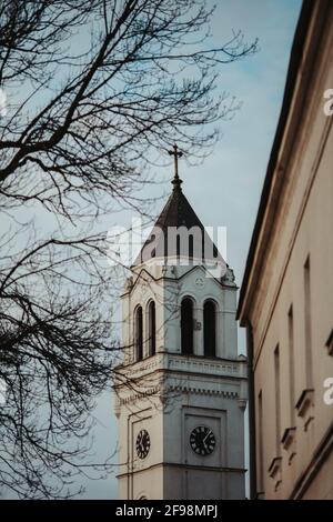 Vertical shot of Catholic church framed by withered tree against a blue sky in Brcko district Stock Photo