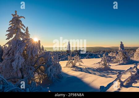 Germany, Baden-Württemberg, Black Forest, Black Forest National Park, Schliffkopf, trees, forest, winter, snow, winter landscape, sunrise Stock Photo