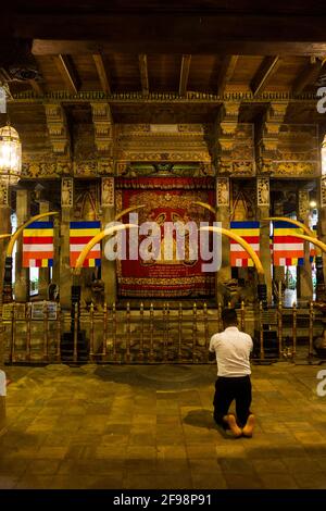Sri Lanka, Kandy, Sri Dalada Maligawa, the temple of the sacred tooth, hall, man, kneel, pray, Stock Photo