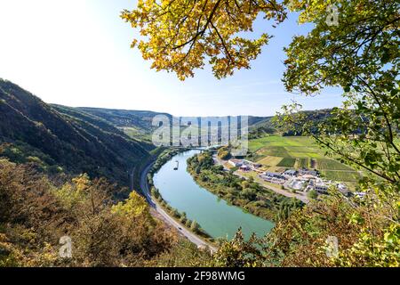 View from the BREVA-Weinsteig over the Moselle at Bruttig-Fankel on a sunny autumn day. Cochem-Zell, Rhineland-Palatinate, Germany Stock Photo
