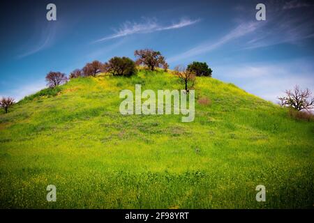 Malibu Creek State Park in California - travel photography Stock Photo