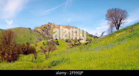 Malibu Creek State Park in California - travel photography Stock Photo