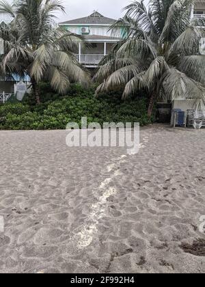 House on a beach in Barbados covered in ash from the La Soufrière volcanic eruption on neighbouring Saint Vincent. Stock Photo