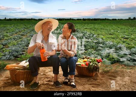 Peasant couple sat in the farm see a mobile phone Stock Photo