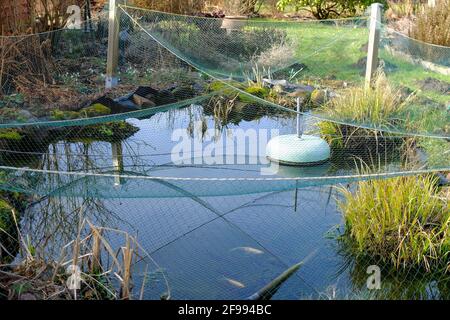 Pond cover net hi-res stock photography and images - Alamy