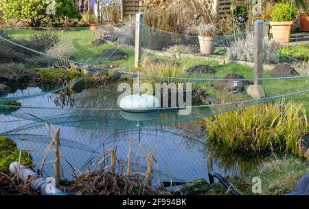 Garden pond with a net as protection from autumn leaves Stock Photo