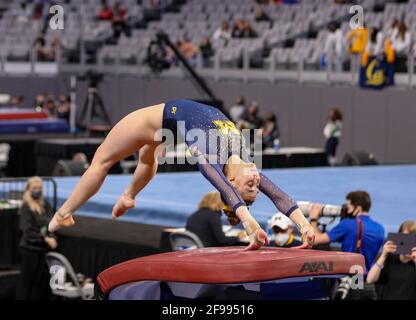 Fort Worth, TX, USA. 16th Apr, 2021. Michigan's Natalie Wojcik performs her vault during the Semifinals of the 2021 NCAA Women's National Collegiate Gymnastics Championship at Dickies Arena in Fort Worth, TX. Kyle Okita/CSM/Alamy Live News Stock Photo