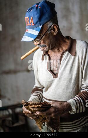 Cigar factory in San Antonio de los Baños, Artemisa Province, Cuba Stock Photo