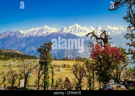 This is the view of Himalayas Panchchuli peaks & alpine landscape from Khalia top trek trail at Munsiyari. Khalia top is at an altitude of 3500m himal Stock Photo