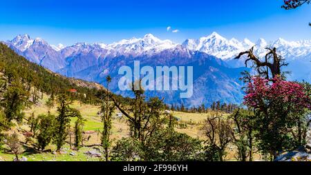 This is the view of Himalayas Panchchuli peaks & alpine landscape from Khalia top trek trail at Munsiyari. Khalia top is at an altitude of 3500m himal Stock Photo