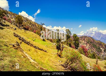 This is the view of Himalayas Panchchuli peaks & alpine landscape from Khalia top trek trail at Munsiyari. Khalia top is at an altitude of 3500m himal Stock Photo