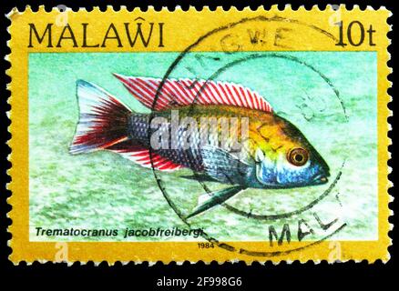 MOSCOW, RUSSIA - NOVEMBER 4, 2019: Postage stamp printed in Malawi shows Fairy Cichlid (Neolamprologus brichardi), Fishes serie, 10 Malawian tambala, Stock Photo