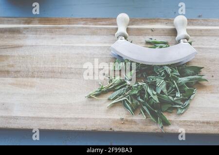 Fresh sage, Mediterranean herbs - a delight from the garden and versatile Stock Photo