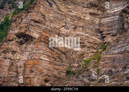 Strata of Limestone rocks, it is a sedimentary rock forms when layers of skeletal fragments of marine organisms accumulates by sedimentation then upli Stock Photo