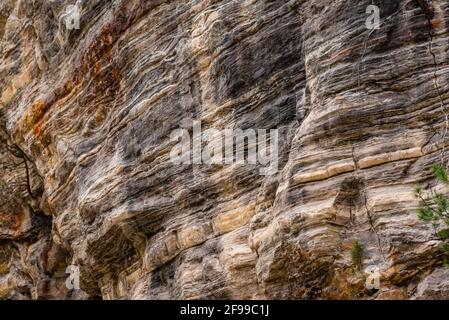 Strata of Limestone rock, it is a sedimentary rock forms when layers of skeletal fragments of marine organisms accumulates by sedimentation then uplif Stock Photo