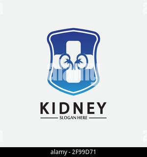 Kidney Shield Logo Template Design Vector, Emblem, Design Concept, Creative Symbol, Icon. Stock Vector