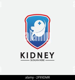 Kidney Shield Logo Template Design Vector, Emblem, Design Concept, Creative Symbol, Icon. Stock Vector
