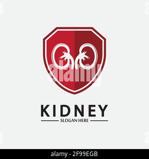 Kidney Shield Logo Template Design Vector, Emblem, Design Concept, Creative Symbol, Icon. Stock Vector