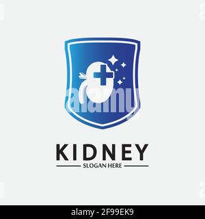 Kidney Shield Logo Template Design Vector, Emblem, Design Concept, Creative Symbol, Icon. Stock Vector