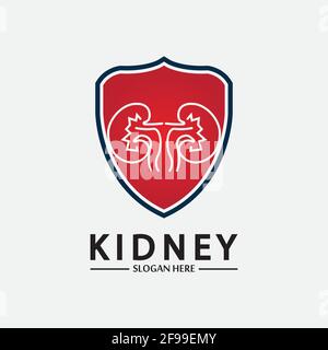 Kidney Shield Logo Template Design Vector, Emblem, Design Concept, Creative Symbol, Icon. Stock Vector
