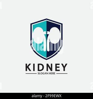 Kidney Shield Logo Template Design Vector, Emblem, Design Concept, Creative Symbol, Icon. Stock Vector