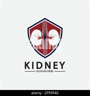 Kidney Shield Logo Template Design Vector, Emblem, Design Concept, Creative Symbol, Icon. Stock Vector