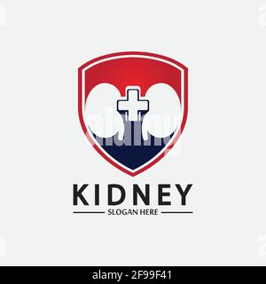 Kidney Shield Logo Template Design Vector, Emblem, Design Concept, Creative Symbol, Icon. Stock Vector