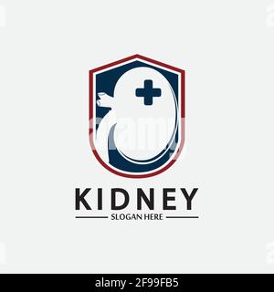 Kidney Shield Logo Template Design Vector, Emblem, Design Concept, Creative Symbol, Icon. Stock Vector