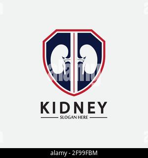 Kidney Shield Logo Template Design Vector, Emblem, Design Concept, Creative Symbol, Icon. Stock Vector