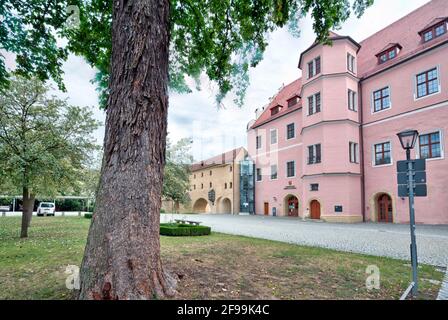 Electoral Palace, city goggles, water gate, city wall, green area, summer, Amberg, Upper Palatinate, Bavaria, Germany, Europe Stock Photo