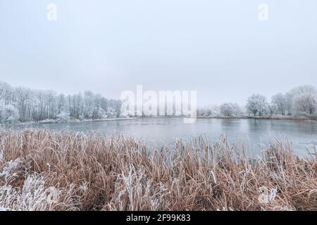 Forest lake in snowfall. Relaxing panoramic winter landscape of a forest lake. idyllic seasonal nature background. white trees and frozen lake water Stock Photo