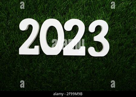 2023 Happy New Year Flat lay on Green artificial grass Stock Photo