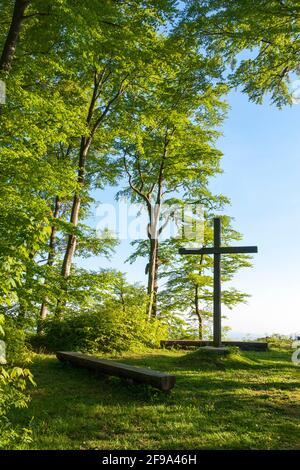 Germany, Baden-Wuerttemberg, Heiligenberg, Friedwald Heiligenberg, natural burial in the Amalienhain. Cross and bench on Bellevueplatz. Stock Photo