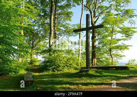 Germany, Baden-Wuerttemberg, Heiligenberg, Friedwald Heiligenberg, natural burial in the Amalienhain. Cross and bench on Bellevueplatz. Stock Photo