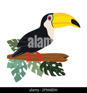 Cute cartoon toucan bird on branch. Vector stock illustration for invitations, card, poster. Summer exotic print. Tropical toucan icon with floral Stock Vector